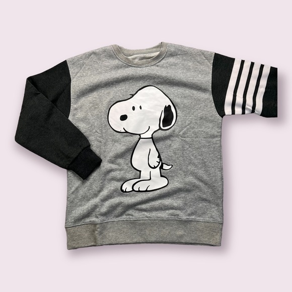 Snoopy & Woodstock Gray 4-bar Pullover Sweatshirt - Picture 3 of 7